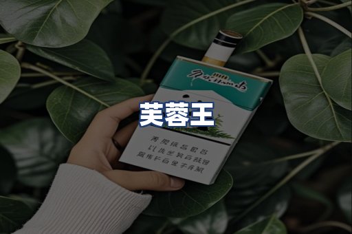 芙蓉王